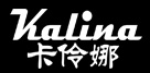 意大利技术
